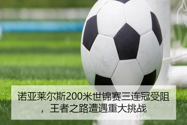 nuo-ya-lai-er-si-mi-shi-jin-sai-san-lian-guan-shou-zu-wang-zhe-zhi-lu-zao-yu-zhong-da-tiao-zhan-3-304.jpg